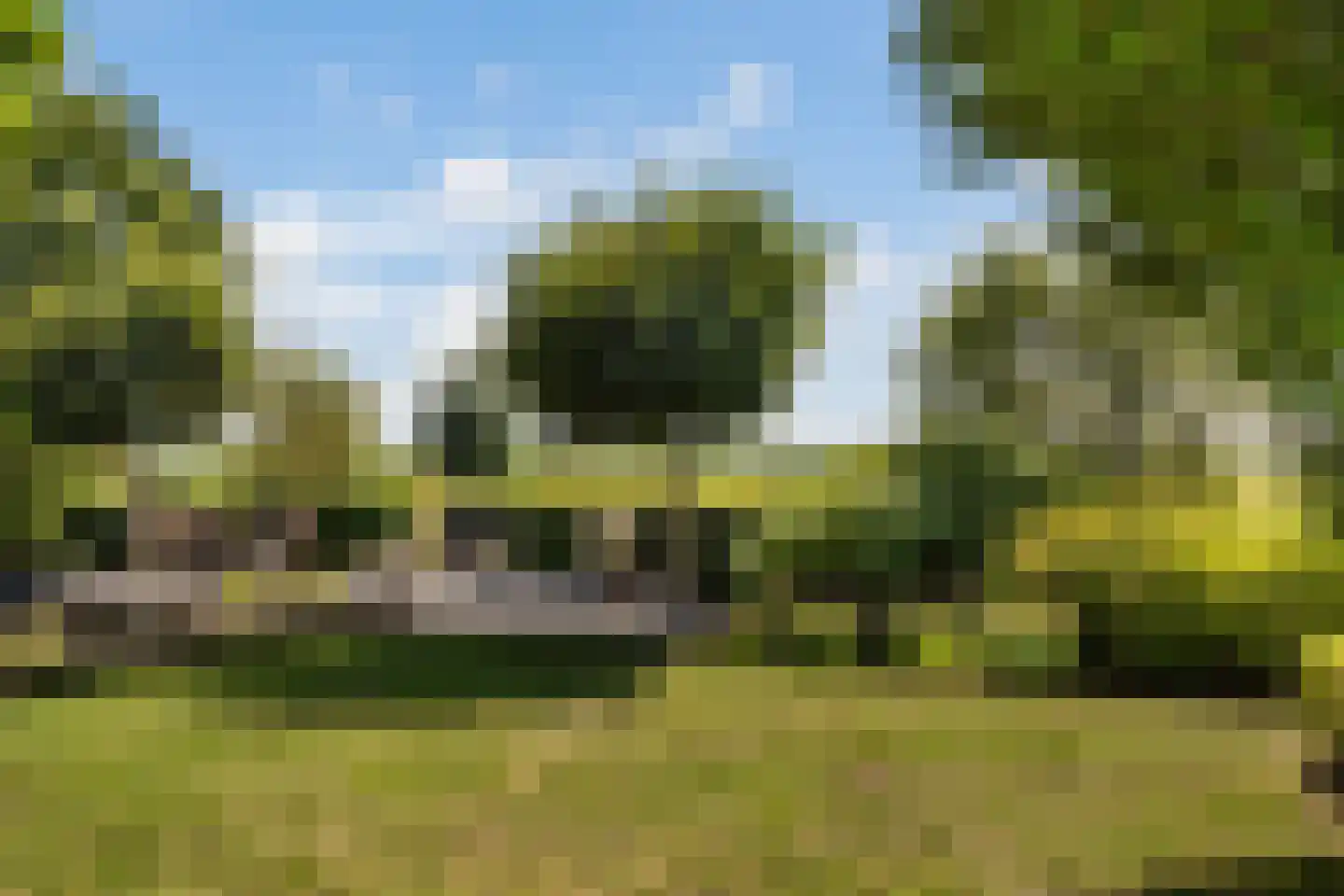 Snavelbies 6 Bovensmilde thumbnail 45