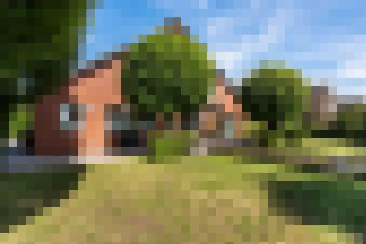 Snavelbies 6 Bovensmilde thumbnail 46