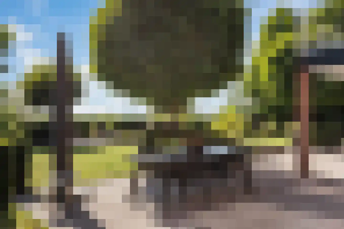 Snavelbies 6 Bovensmilde thumbnail 50