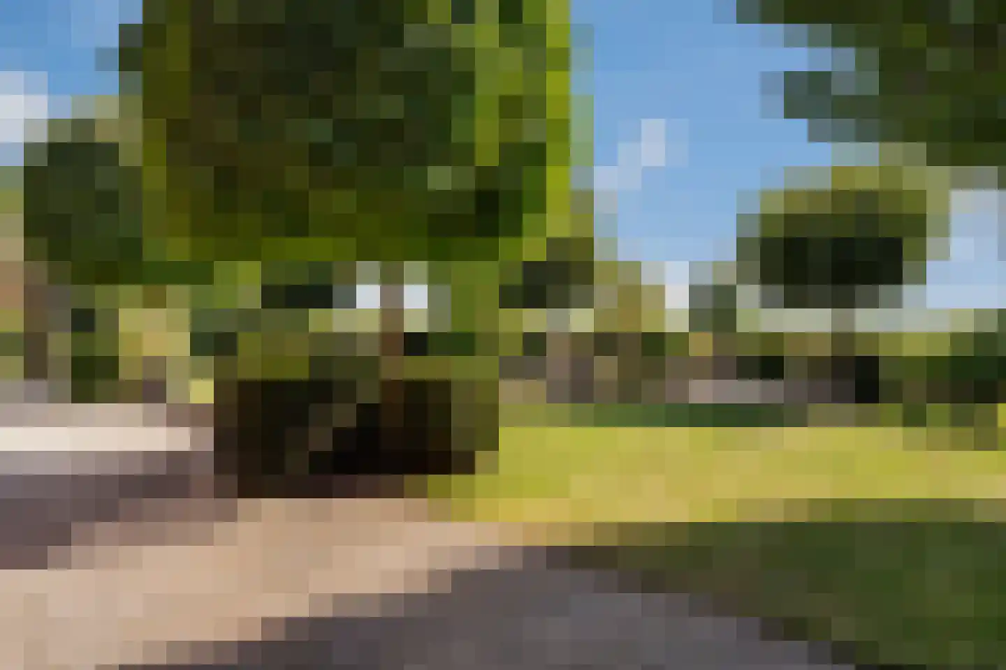 Snavelbies 6 Bovensmilde thumbnail 52