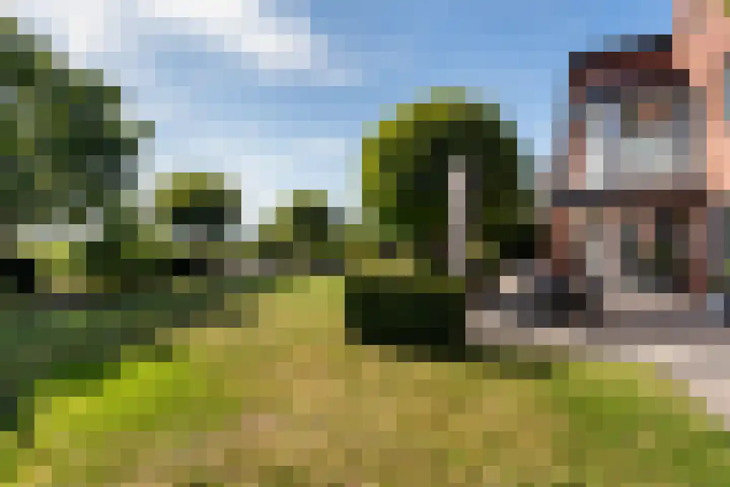 Snavelbies 6 Bovensmilde thumbnail 53