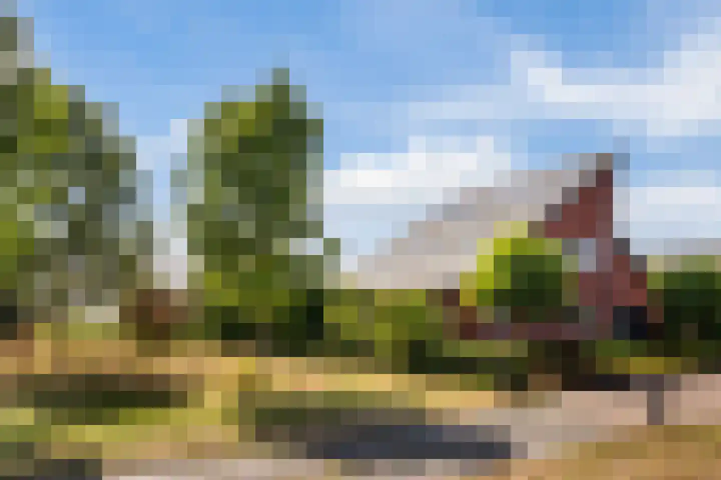 Snavelbies 6 Bovensmilde thumbnail 57