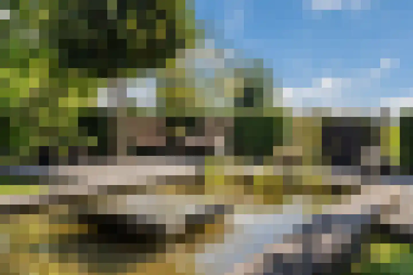 Snavelbies 6 Bovensmilde thumbnail 7