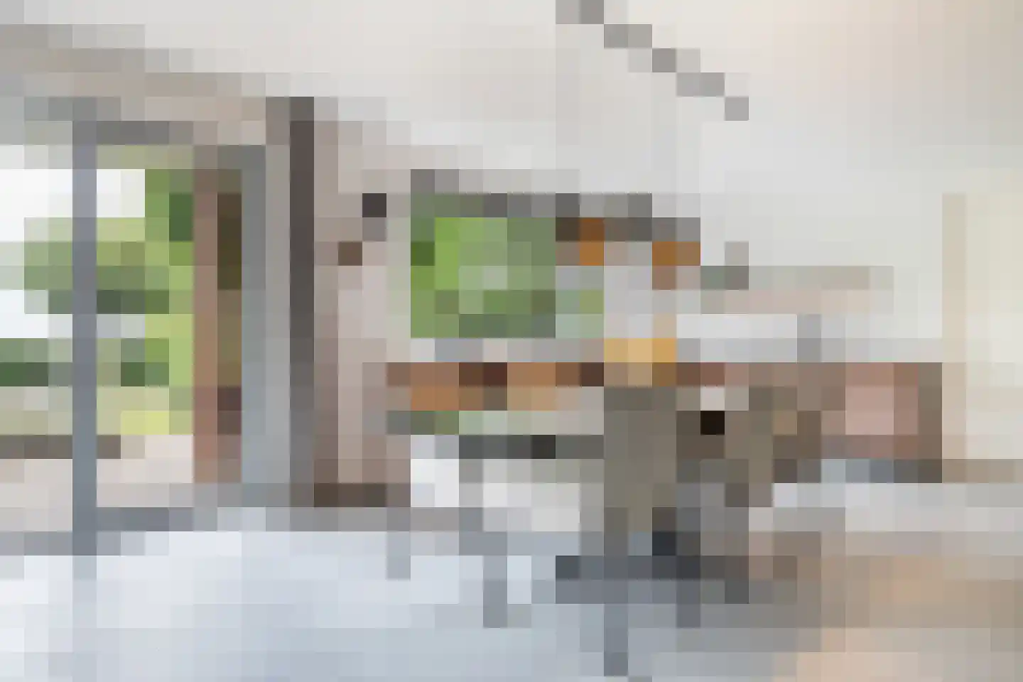 Snavelbies 6 Bovensmilde thumbnail 9