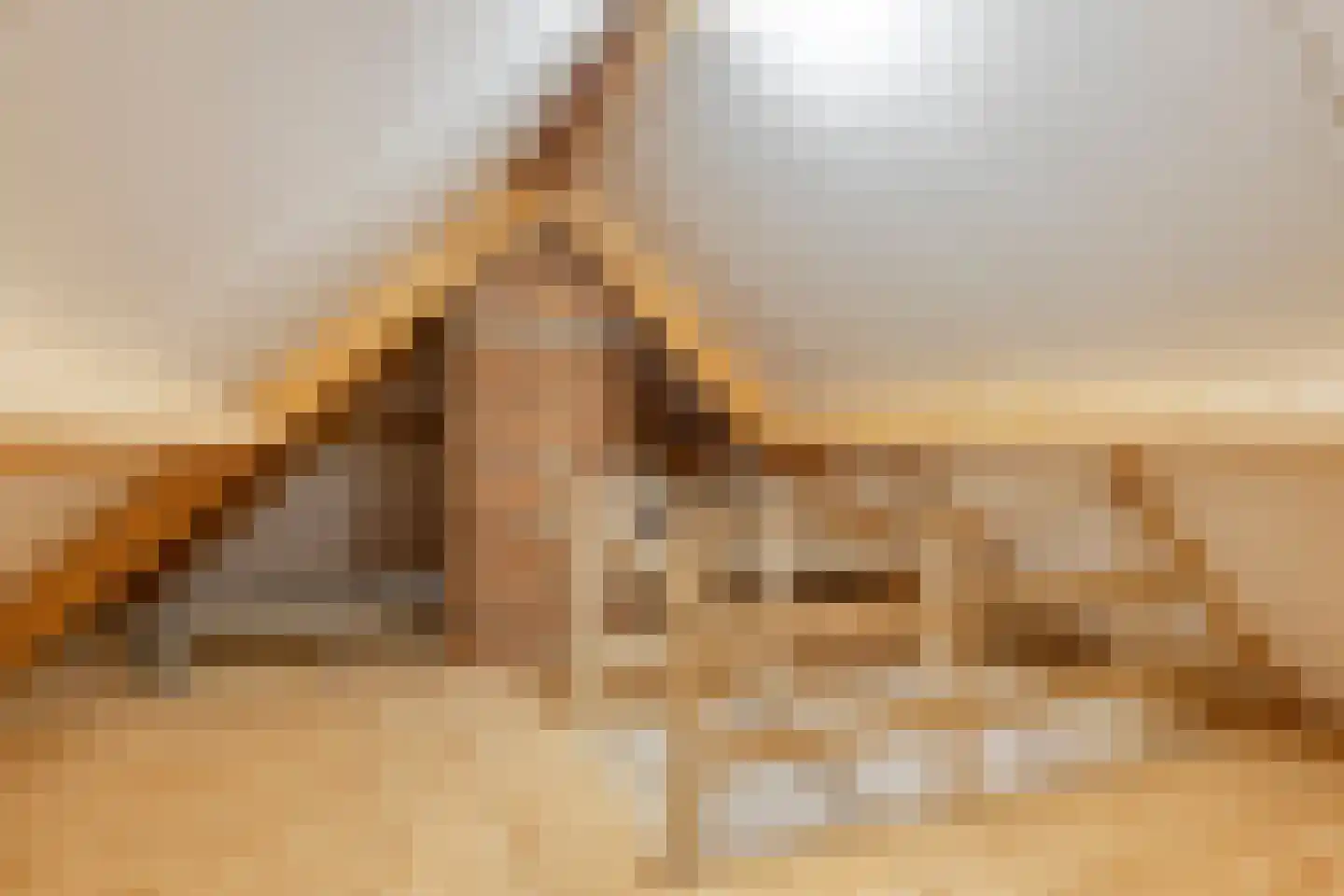 Snavelbiesstraat 1 Landhorst thumbnail 44