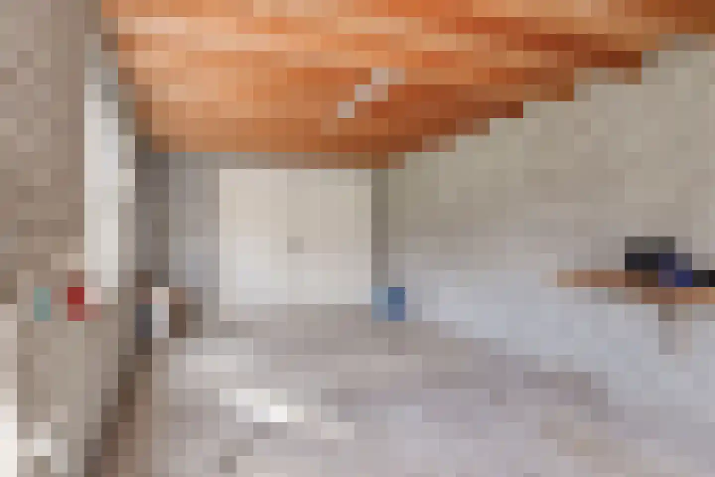 Snavelbiesstraat 1 Landhorst thumbnail 46