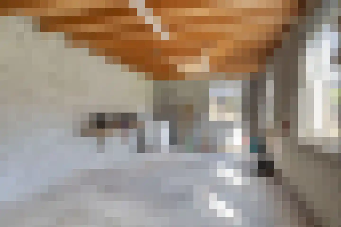 Snavelbiesstraat 1 Landhorst thumbnail 47