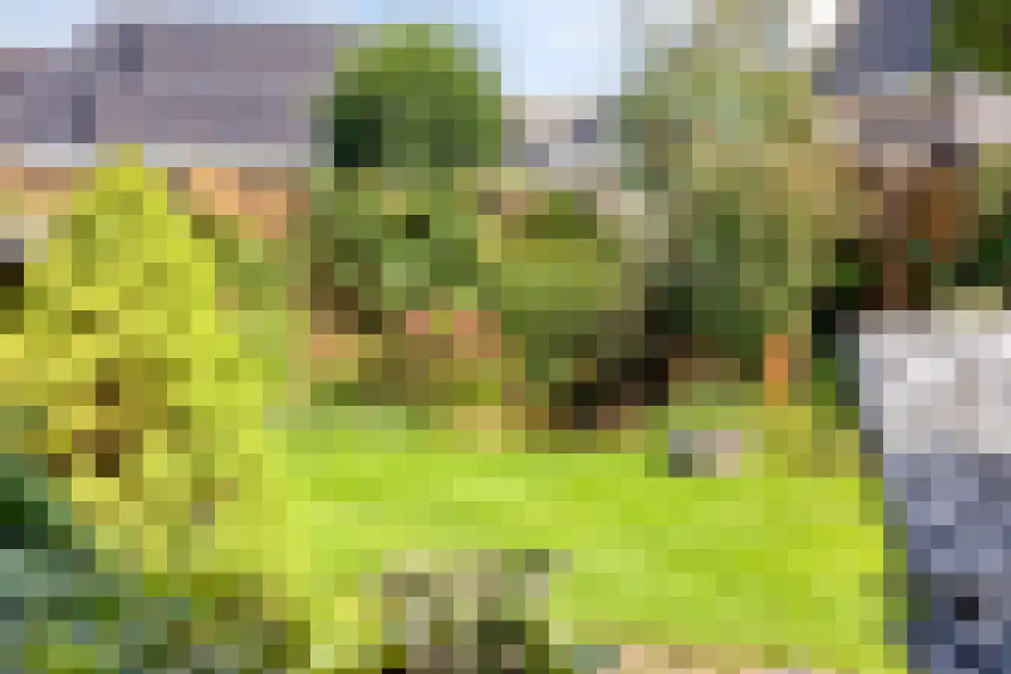 Snavelbiesstraat 1 Landhorst thumbnail 53