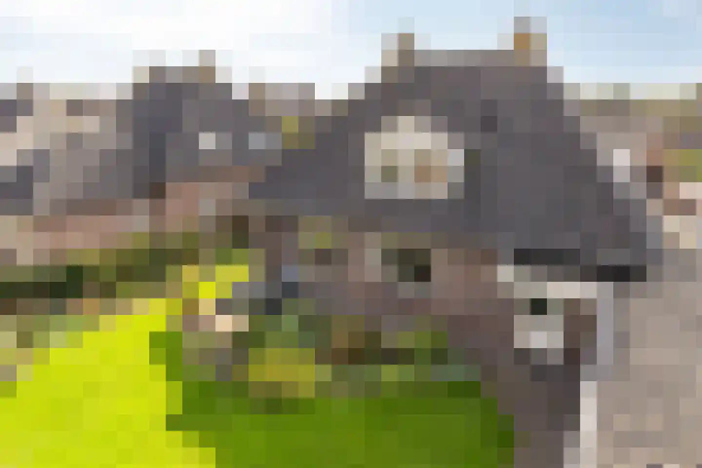 Snavelbiesstraat 1 Landhorst thumbnail 56