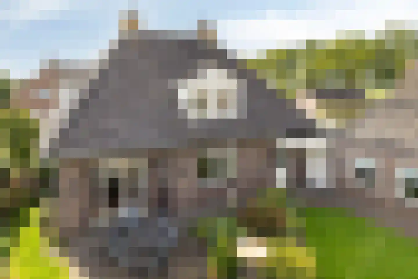 Snavelbiesstraat 1 Landhorst thumbnail 58