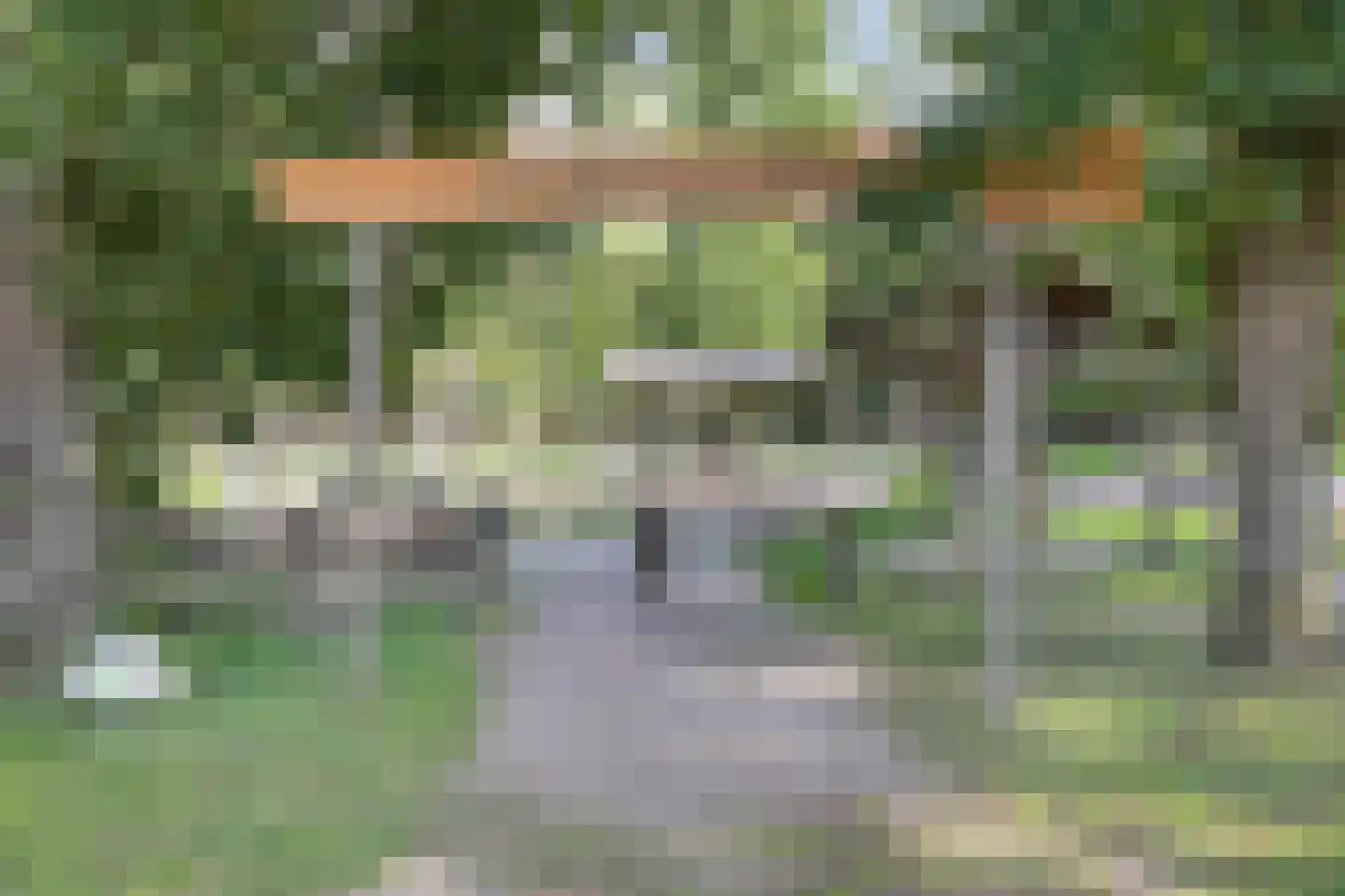 Snavelbiesstraat 1 Landhorst thumbnail 61
