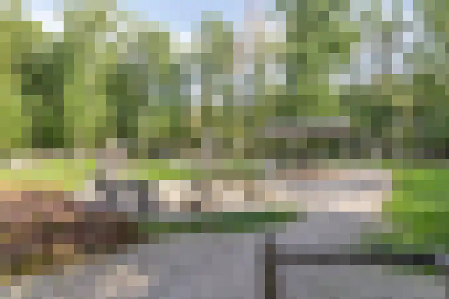 Snavelbiesstraat 1 Landhorst thumbnail 62