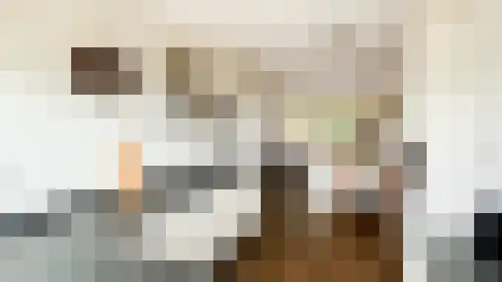 Snaveldolfijn 6 Naaldwijk thumbnail 11
