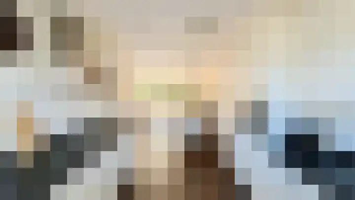 Snaveldolfijn 6 Naaldwijk thumbnail 12