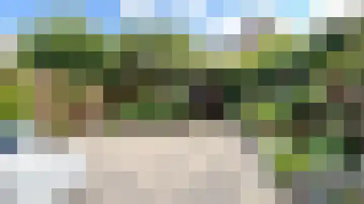 Snaveldolfijn 6 Naaldwijk thumbnail 13
