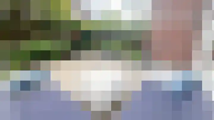 Snaveldolfijn 6 Naaldwijk thumbnail 14