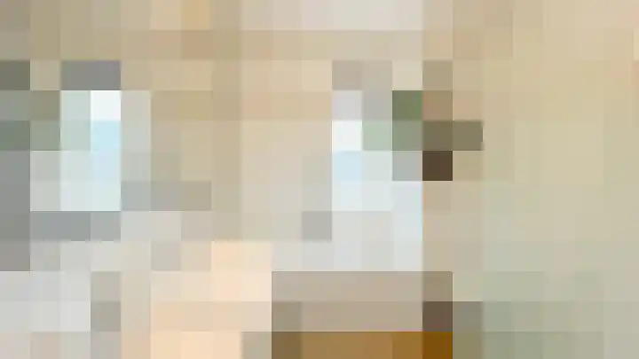 Snaveldolfijn 6 Naaldwijk thumbnail 20