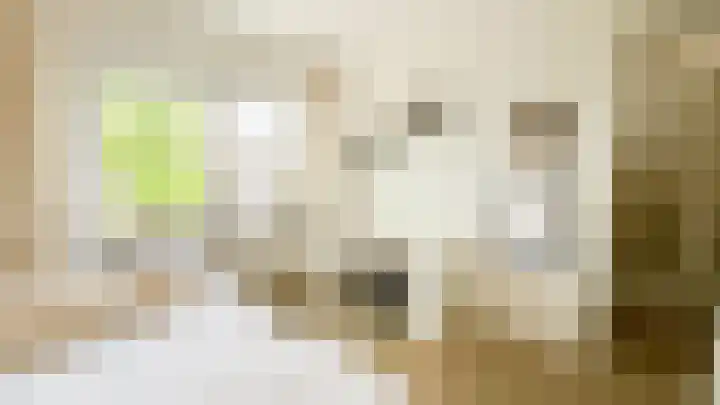 Snaveldolfijn 6 Naaldwijk thumbnail 23