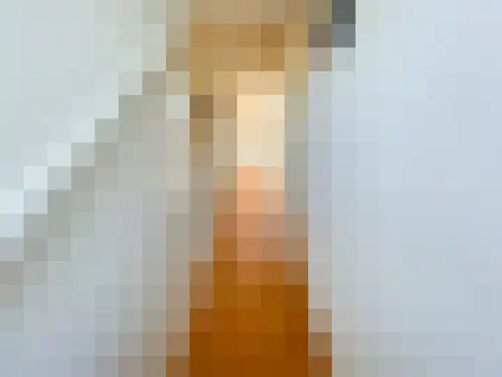 Snaveldolfijn 6 Naaldwijk thumbnail 28