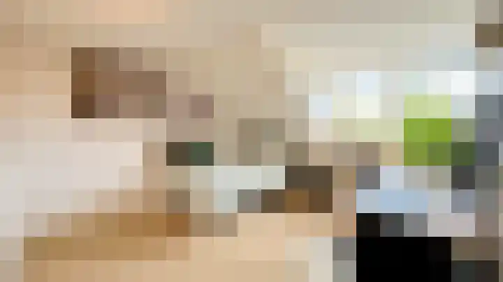 Snaveldolfijn 6 Naaldwijk thumbnail 31