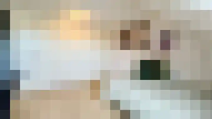 Snaveldolfijn 6 Naaldwijk thumbnail 32
