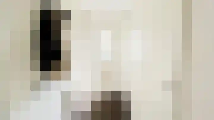 Snaveldolfijn 6 Naaldwijk thumbnail 34