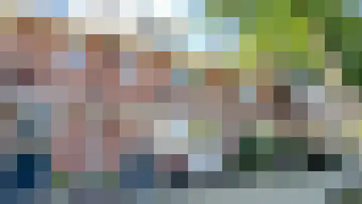 Snaveldolfijn 6 Naaldwijk thumbnail 36