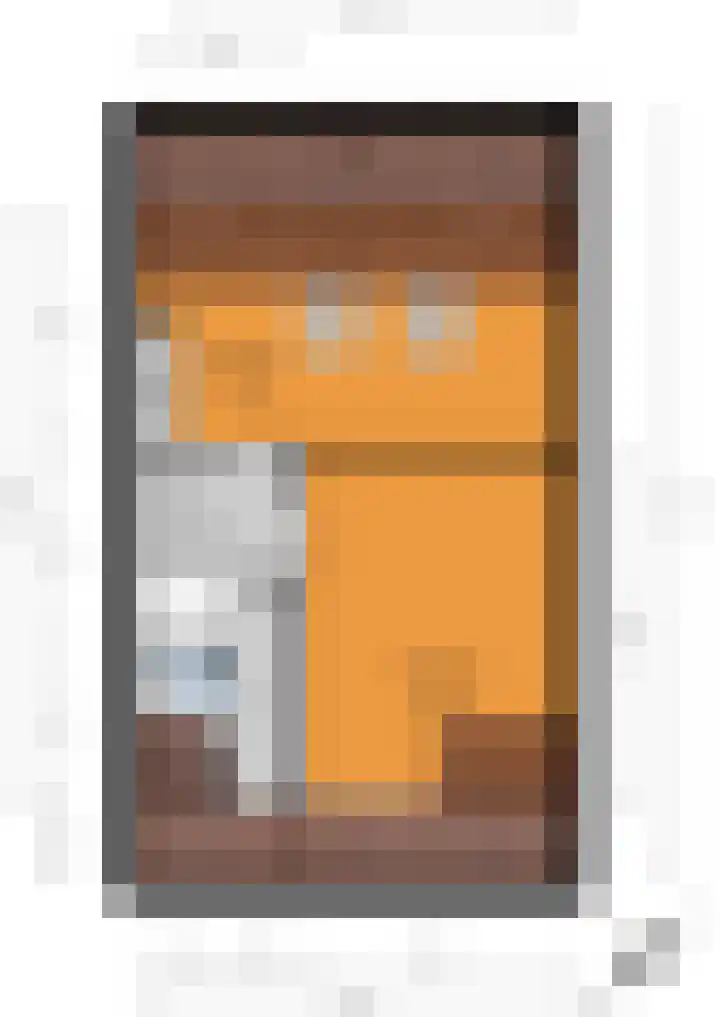 Snaveldolfijn 6 Naaldwijk thumbnail 40