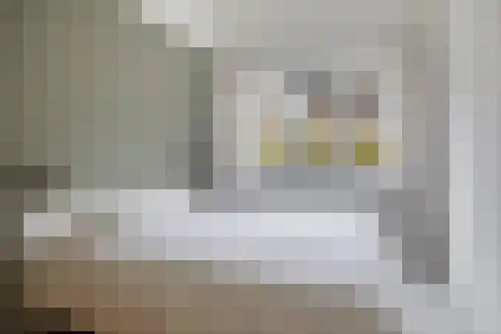 Snavelzegge 13 Zwolle thumbnail 12