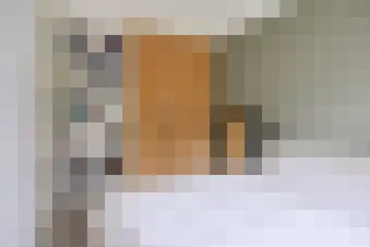 Snavelzegge 13 Zwolle thumbnail 13