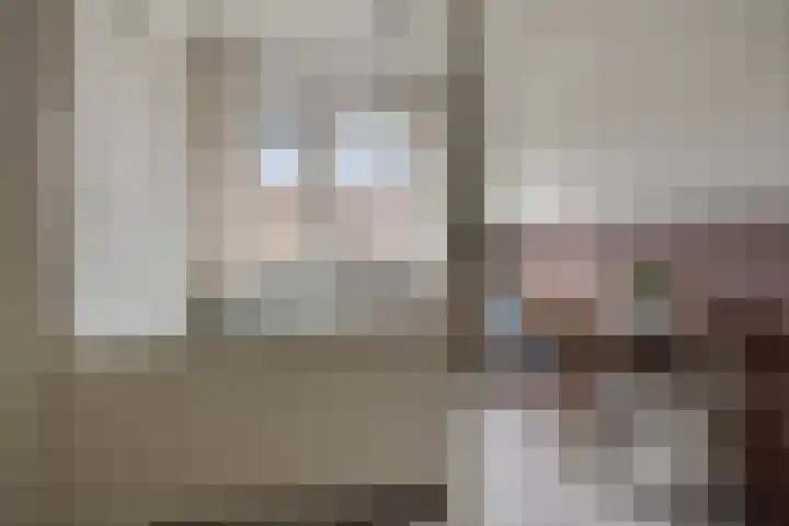 Snavelzegge 13 Zwolle thumbnail 15