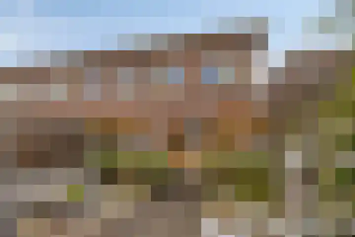 Snavelzegge 13 Zwolle thumbnail 18