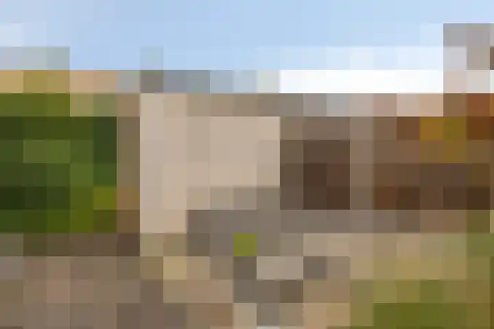Snavelzegge 13 Zwolle thumbnail 21