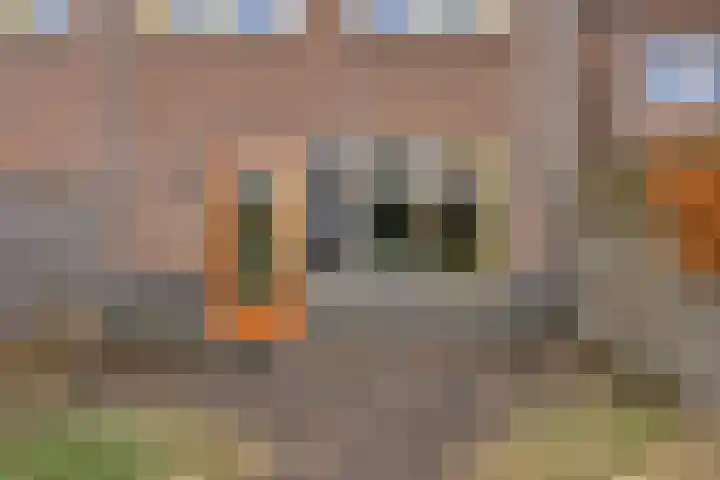 Snavelzegge 13 Zwolle thumbnail 22