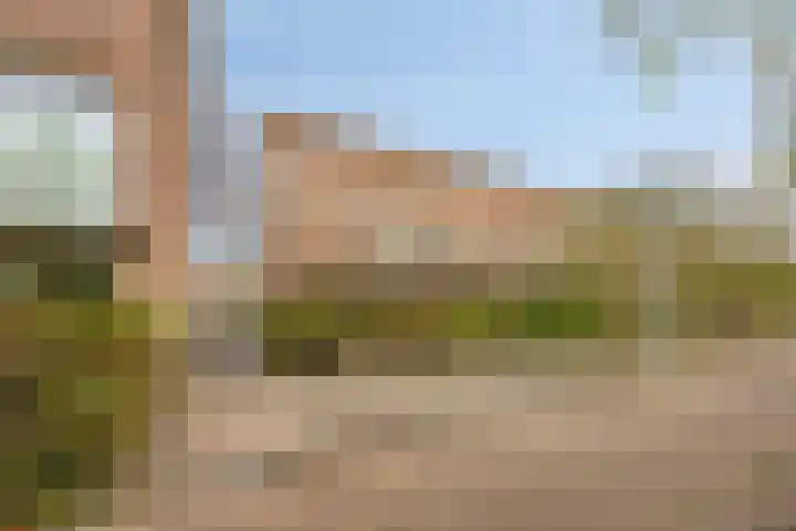 Snavelzegge 13 Zwolle thumbnail 23