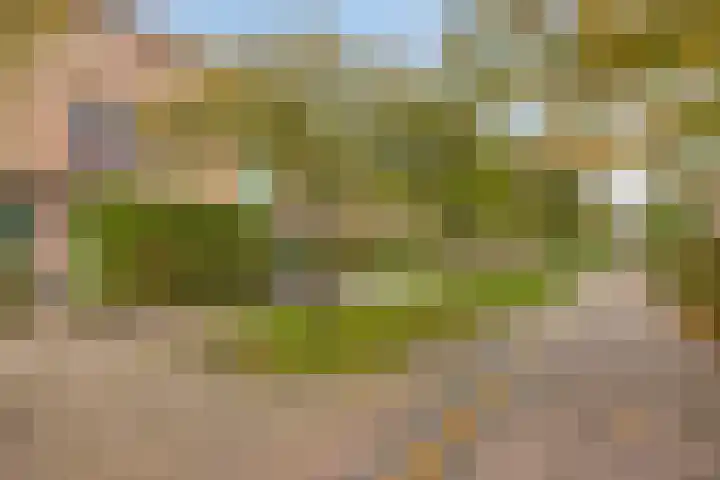 Snavelzegge 13 Zwolle thumbnail 24