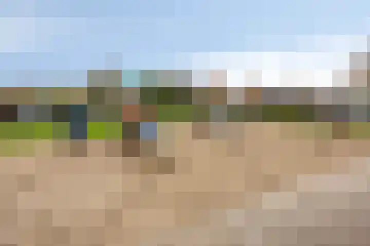 Snavelzegge 13 Zwolle thumbnail 26