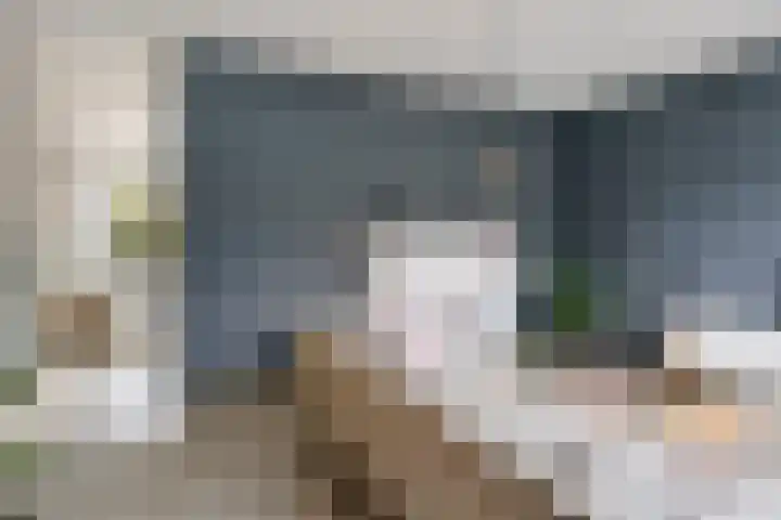 Snavelzegge 13 Zwolle thumbnail 4