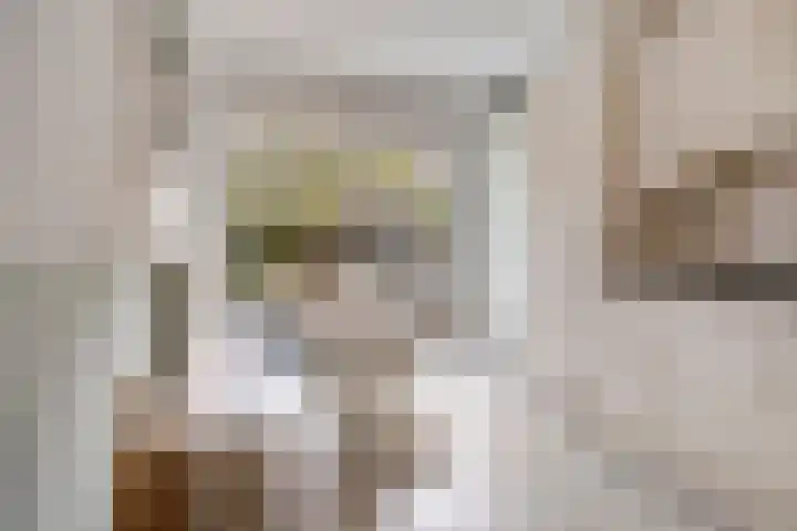 Snavelzegge 13 Zwolle thumbnail 5