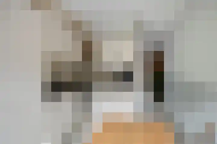Snavelzegge 13 Zwolle thumbnail 6