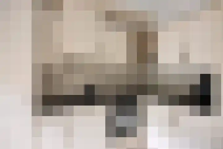 Snavelzegge 13 Zwolle thumbnail 7