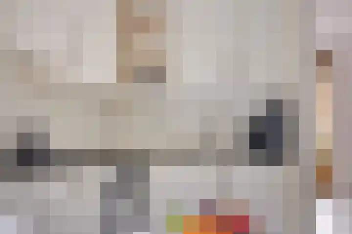 Snavelzegge 13 Zwolle thumbnail 8