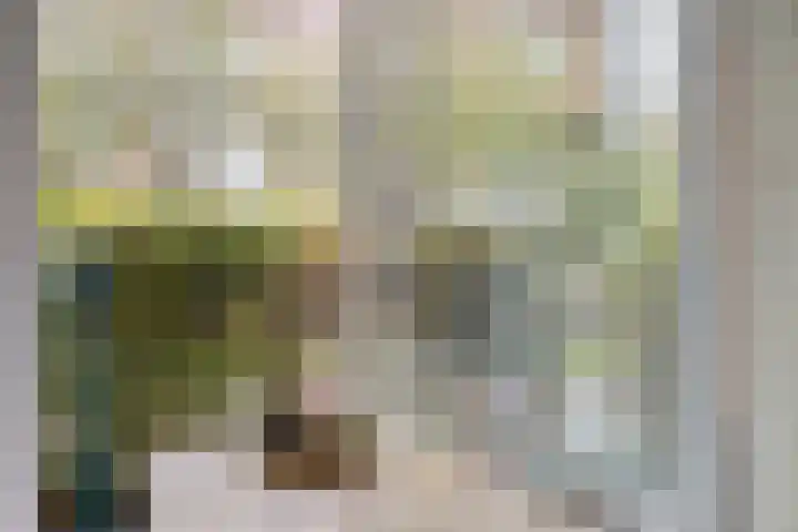 Snavelzegge 13 Zwolle thumbnail 9