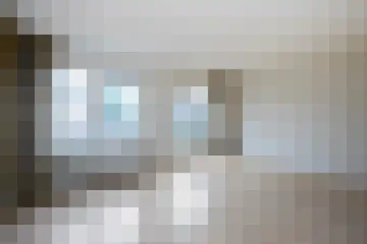 Snavelzegge 3 Zwolle thumbnail 10