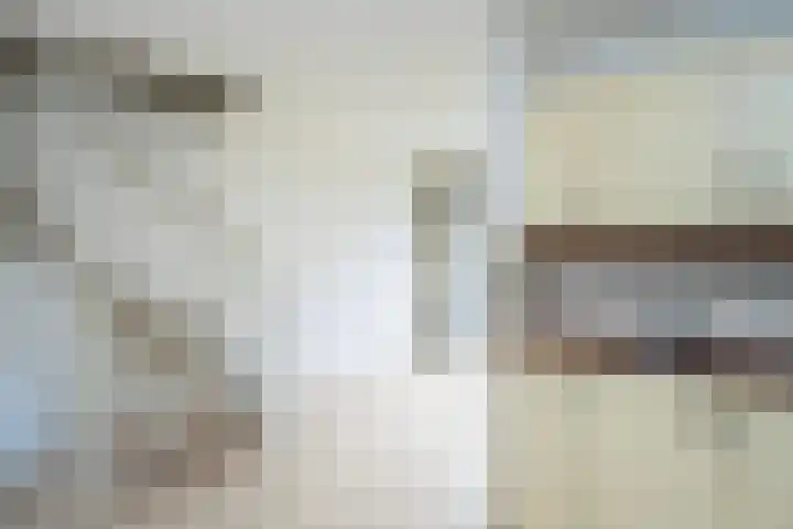 Snavelzegge 3 Zwolle thumbnail 13