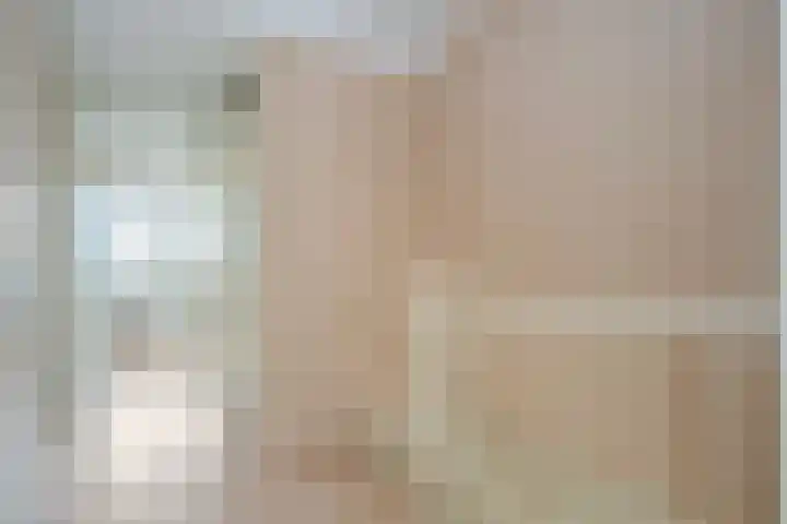 Snavelzegge 3 Zwolle thumbnail 14