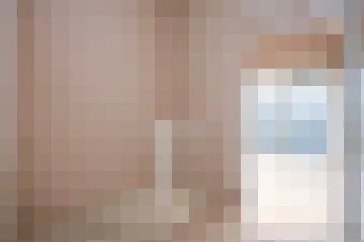 Snavelzegge 3 Zwolle thumbnail 15