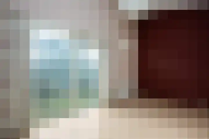 Snavelzegge 3 Zwolle thumbnail 16