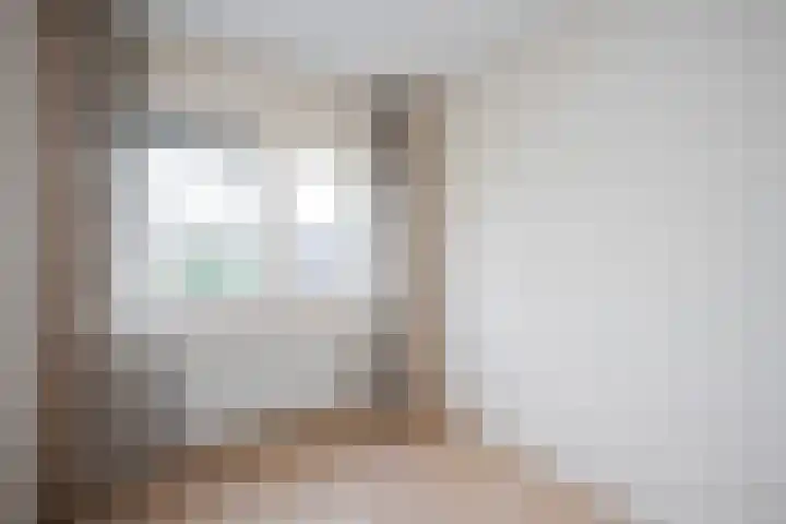 Snavelzegge 3 Zwolle thumbnail 18