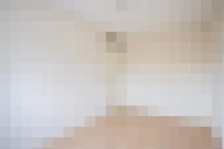 Snavelzegge 3 Zwolle thumbnail 21